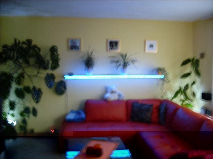 DSCI0019 regal.JPG (48.53 KiB) 13033 mal betrachtet DSCI0019 regal.JPG