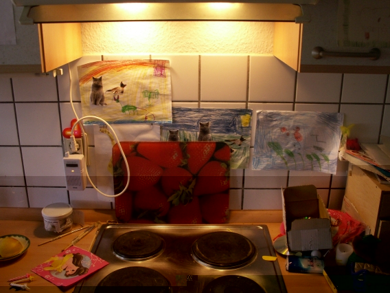 Vor dem Umbau Beleuchtung mit 2x 11 Watt ESL